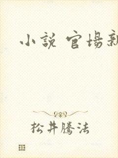 小说 官场新贵