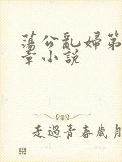 荡公乱妇第51章小说