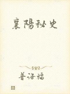 襄阳秘史