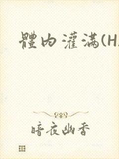 体内灌满(H)封面