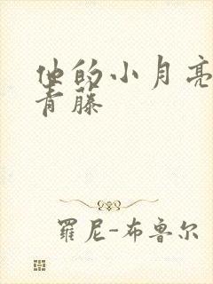 他的小月亮by青藤