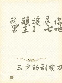 我愿追寻你【双男主】 七吔