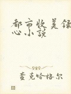 都市收美录宁素心小说