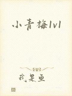 小青梅1v1