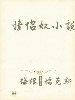 情侣奴小说