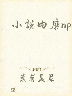 小说肉糜np