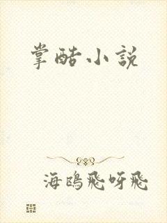 掌酷小说