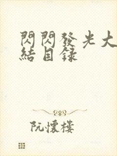 闪闪发光大团圆结目录封面