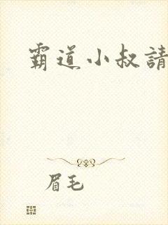 霸道小叔请轻撩