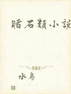 赌石类小说封面