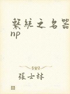 系统之名器攻略np封面