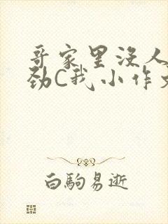 哥家里没人使点劲C我小作文封面