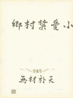 乡村禁爱小说封面