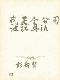 我是全公司的发泄玩具ih封面