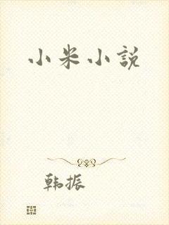 小米小说封面