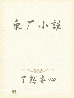 东厂小说