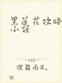 黑莲花攻略手册小说