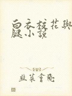 白衣校花与大长腿小说