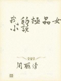 我的极品女老师小说