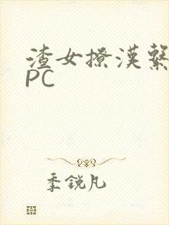 渣女撩汉系统NPC