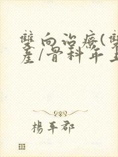 双向治疗(双/产/骨科年上)