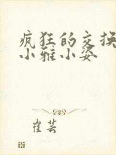 疯狂的交换小静小雅小姿封面