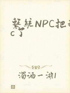 系统NPC把我c了