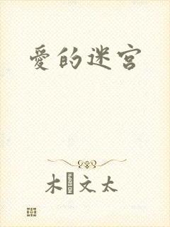 爱的迷宫