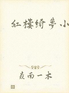 红楼绮梦小说封面