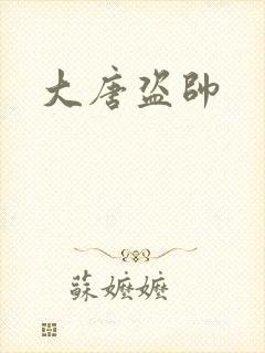 大唐盗帅封面