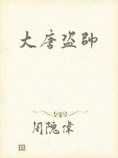 大唐盗帅