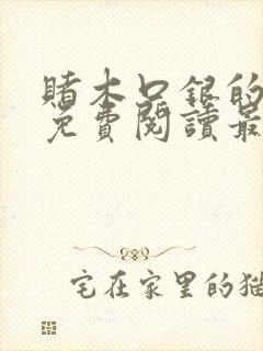 赌木口银的小说免费阅读最新