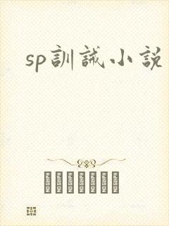 sp训诫小说封面