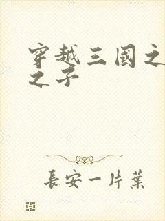 穿越三国之袁绍之子封面