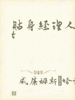 贴身经理人txt