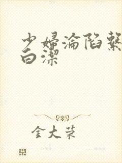 少妇沦陷系列之白洁封面