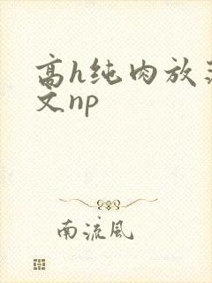 高h纯肉放荡h文np封面