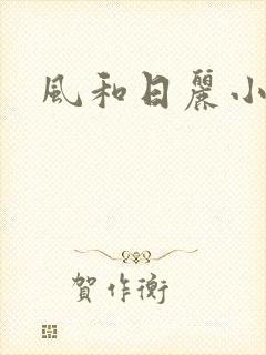 风和日丽小说封面