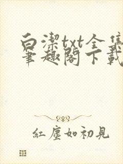 白洁txt全集笔趣阁下载