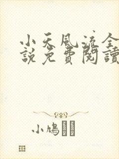 小天风流全集小说免费阅读