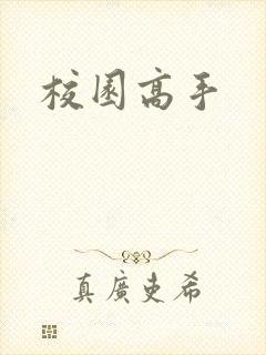校园高手封面