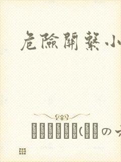 危险关系小说