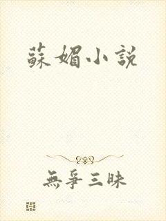 苏媚小说
