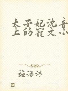 太子妃沈音和皇上的宠文小说