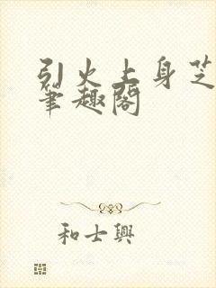 引火上身芝麻糖笔趣阁