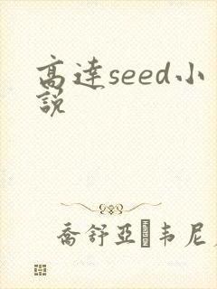 高达seed小说