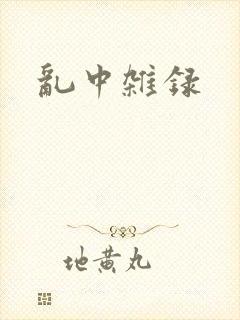 乱中杂录