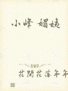 小峰 媚姨封面