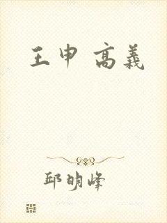 王申 高义