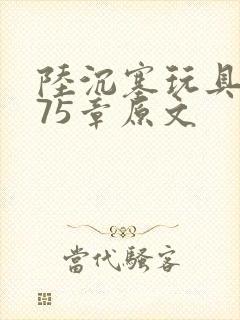 陆沉塞玩具高速75章原文